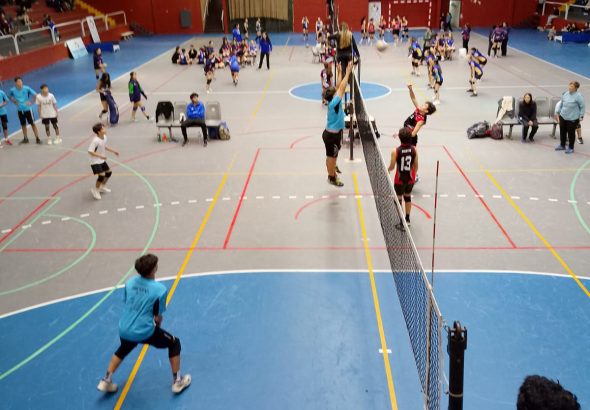 Voley