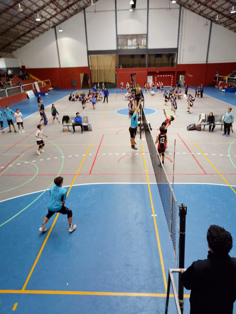 Voley