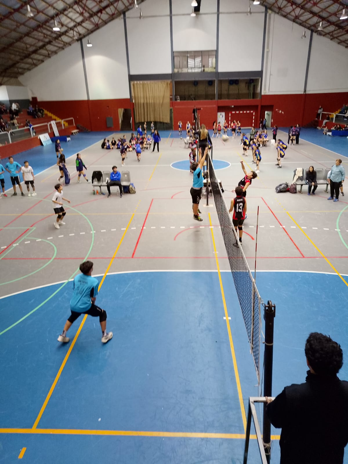 Voley