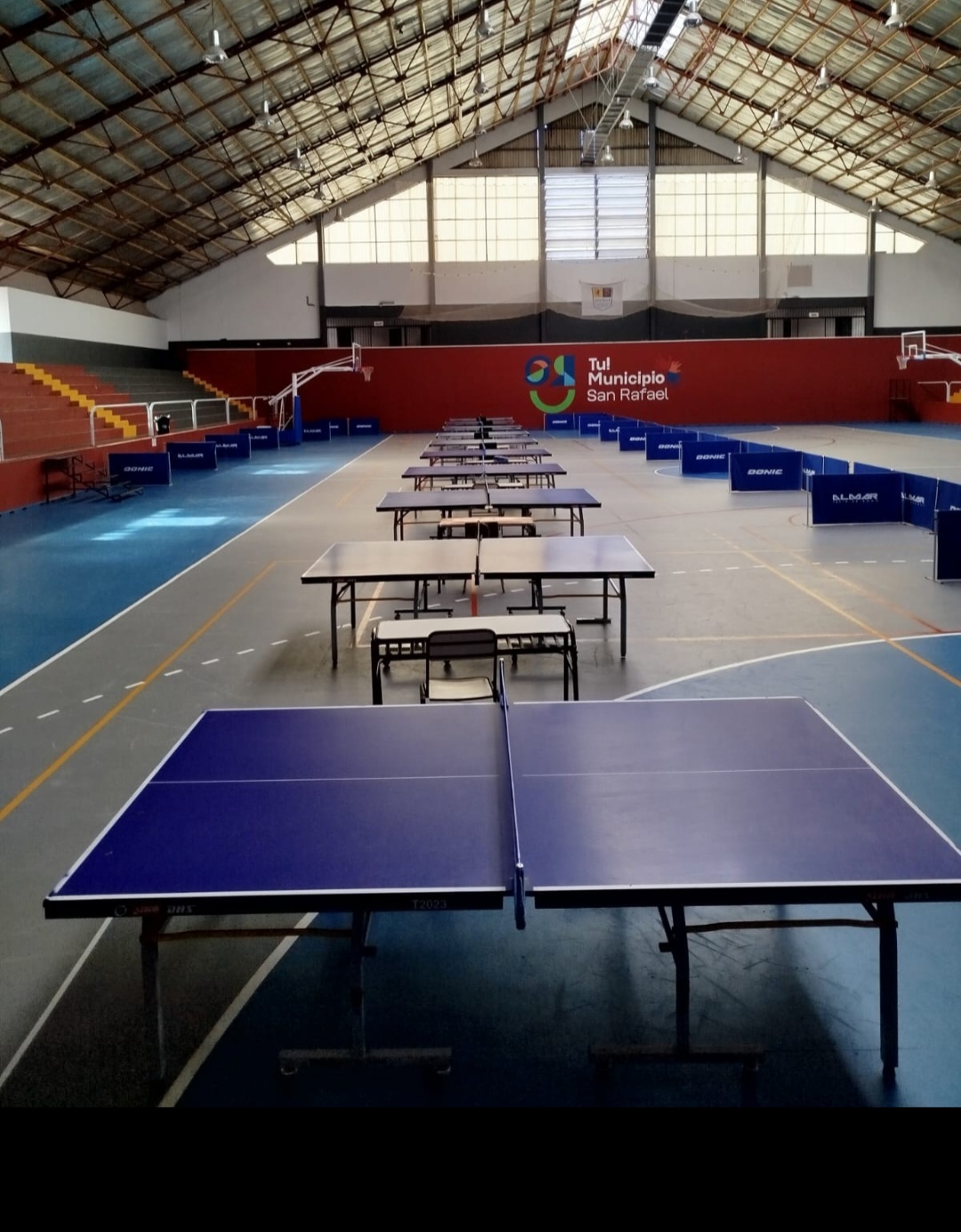 tenis de mesa