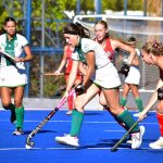 Hockey sobre césped