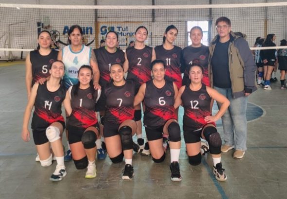 voley