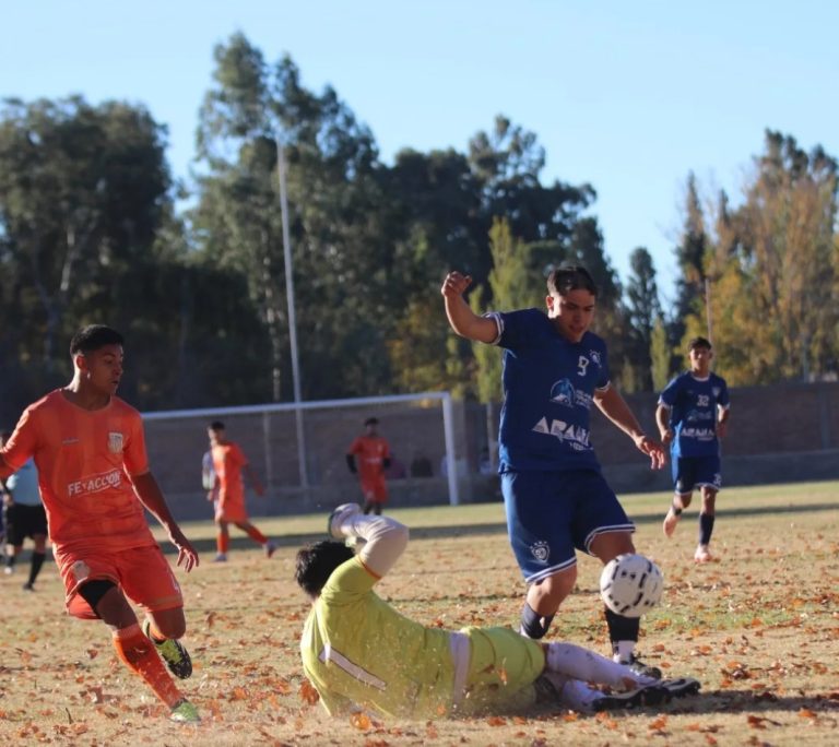 Fútbol