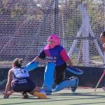 Hockey sobre césped