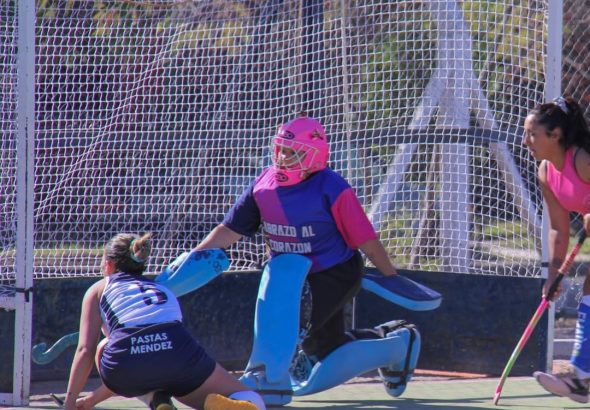 Hockey sobre césped