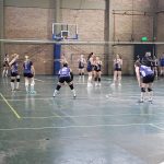 Voley