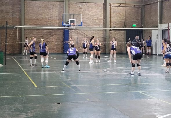 Voley