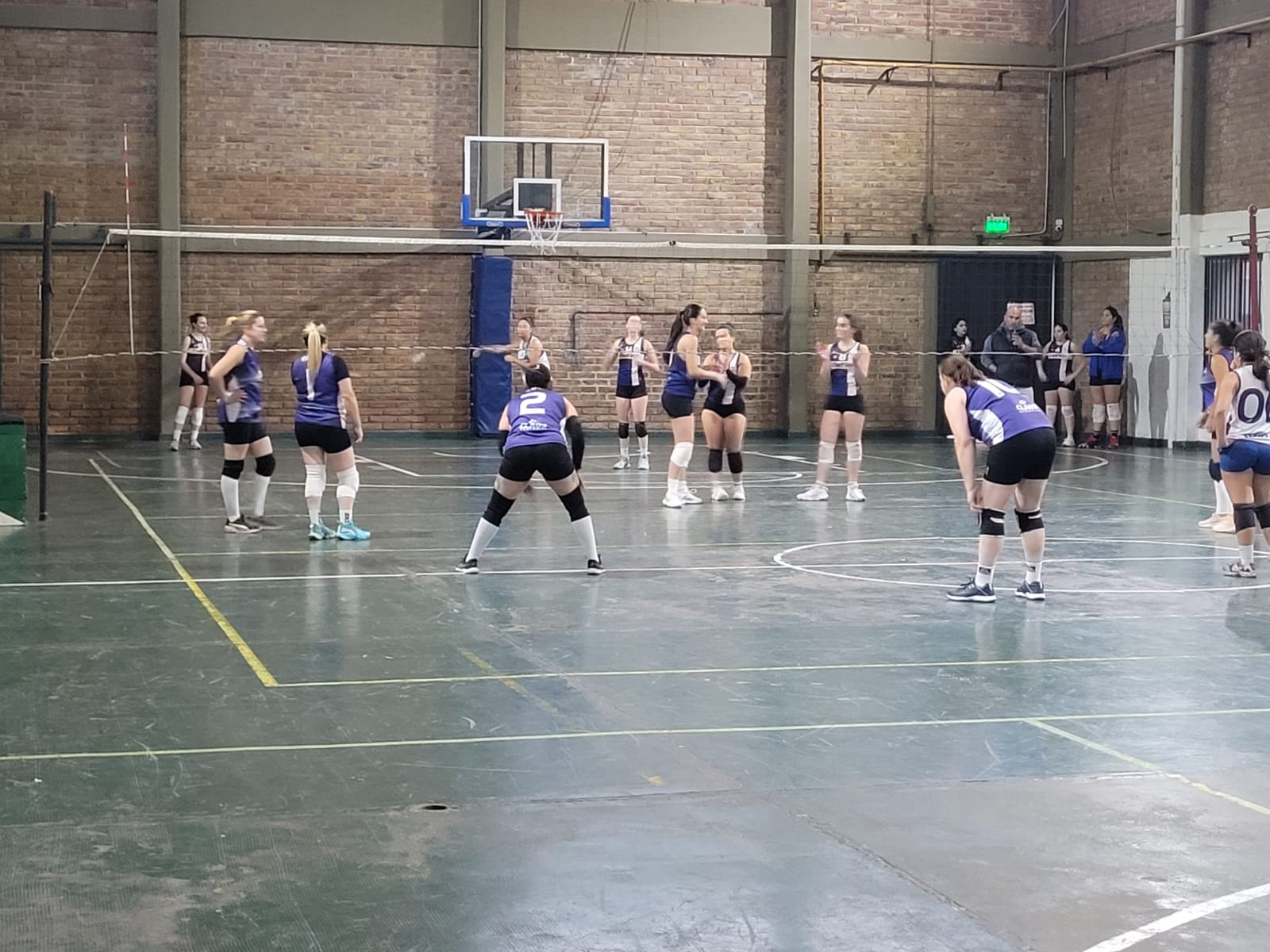 Voley