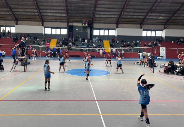 Voley