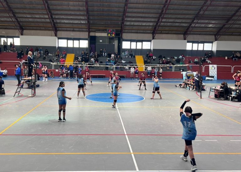 Voley