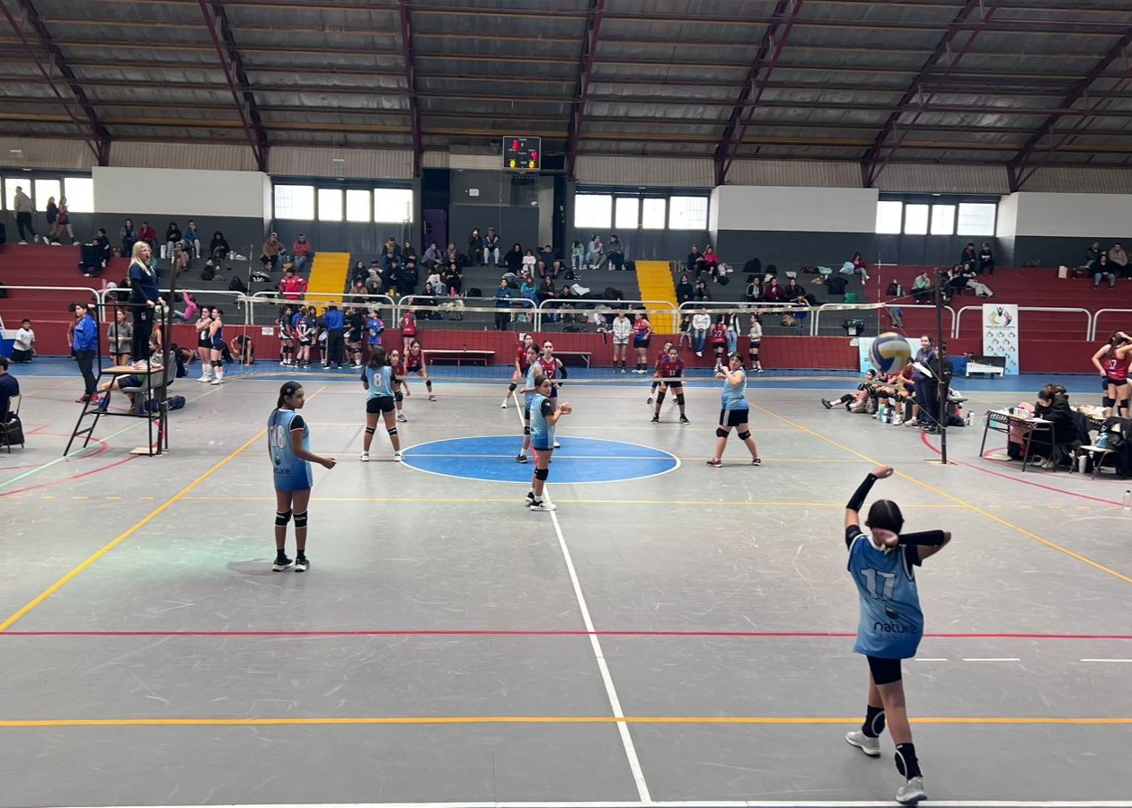 Voley