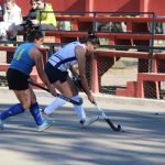Hockey sobre césped
