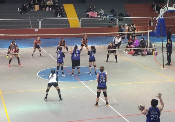 Voley