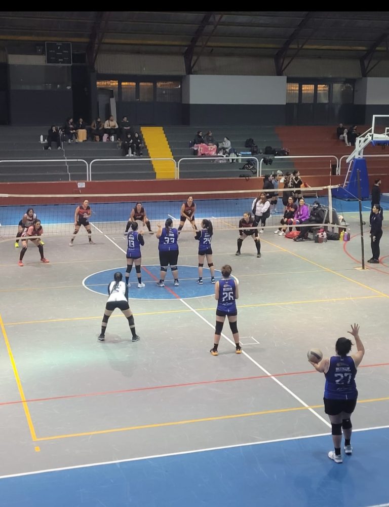Voley