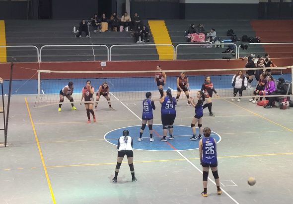 Voley