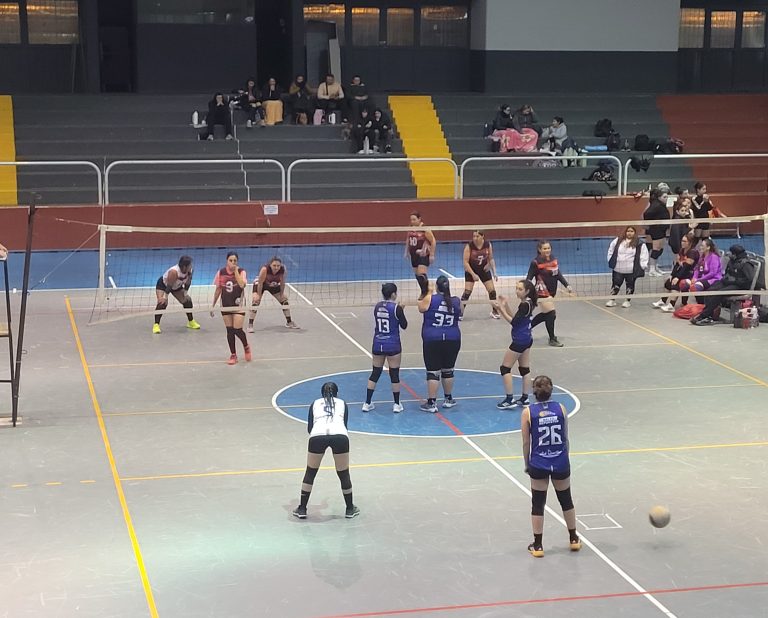Voley