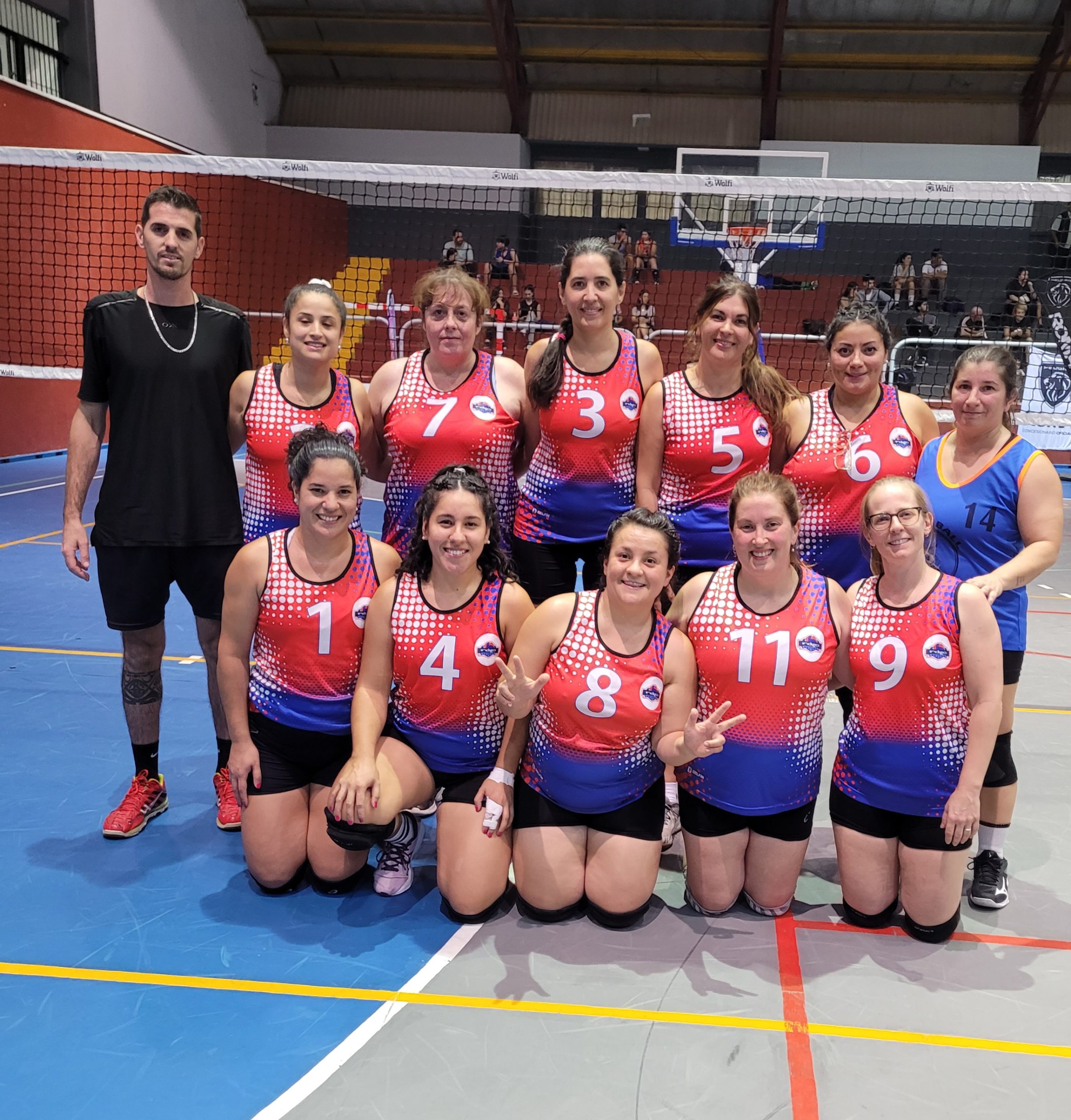 Voley