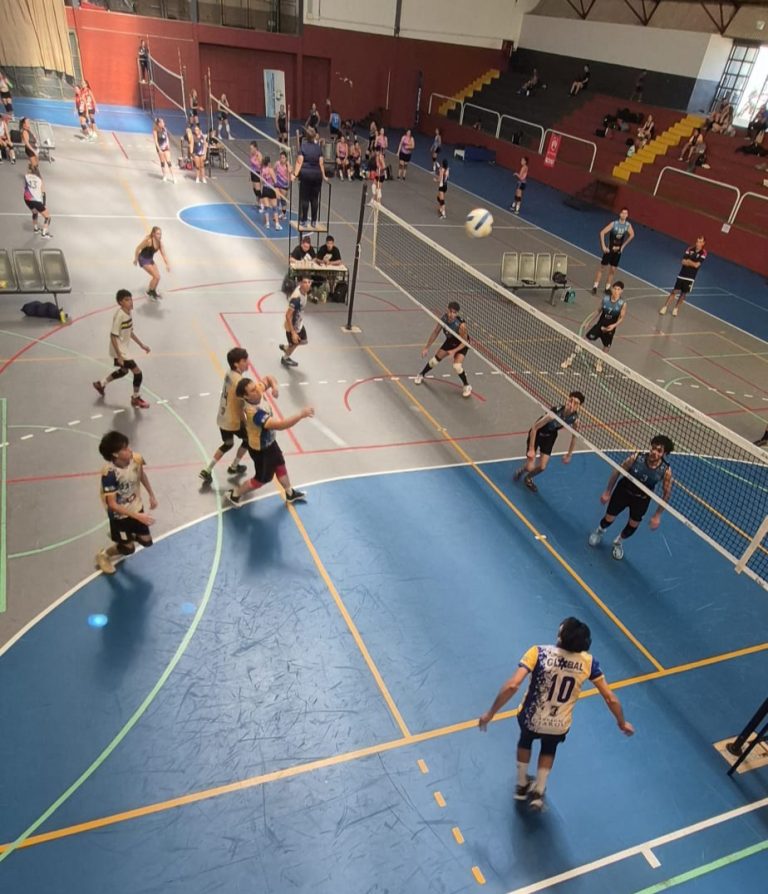 Voley