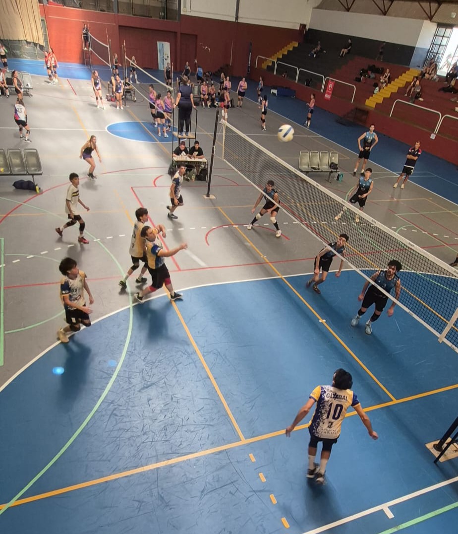 Voley