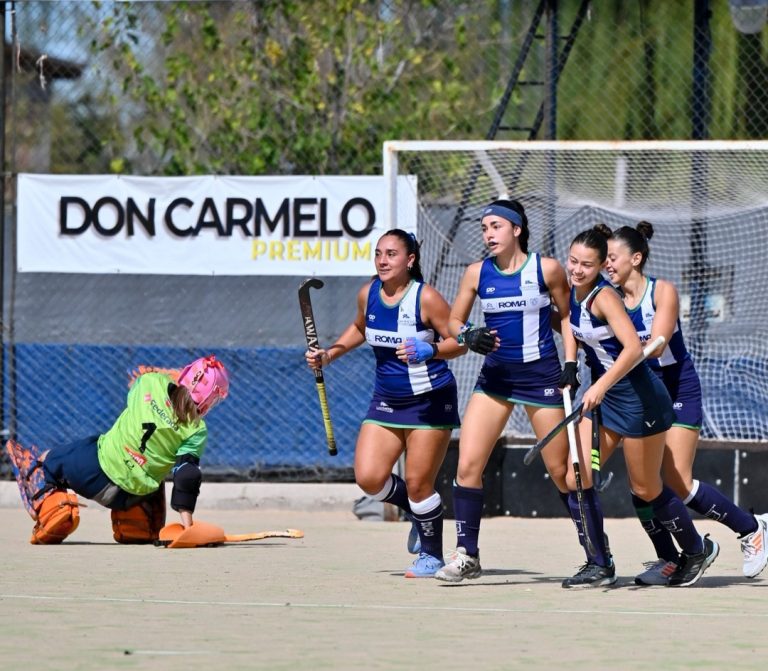 Hockey sobre césped