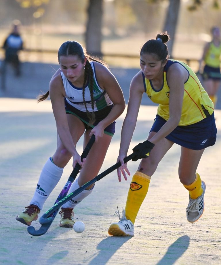 Hockey sobre césped