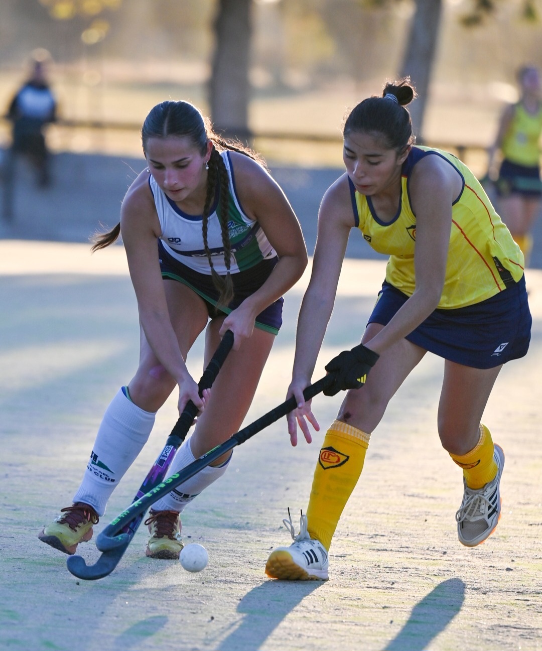 Hockey sobre césped