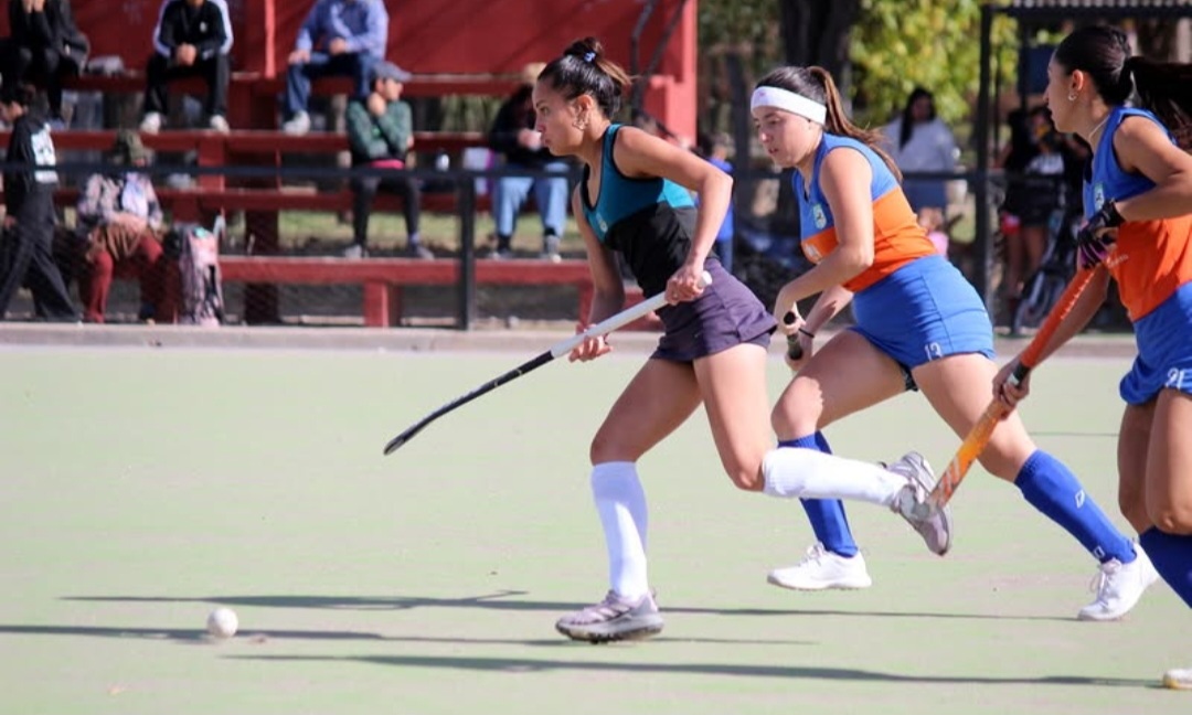 Hockey sobre césped