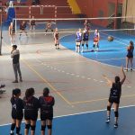 Voley