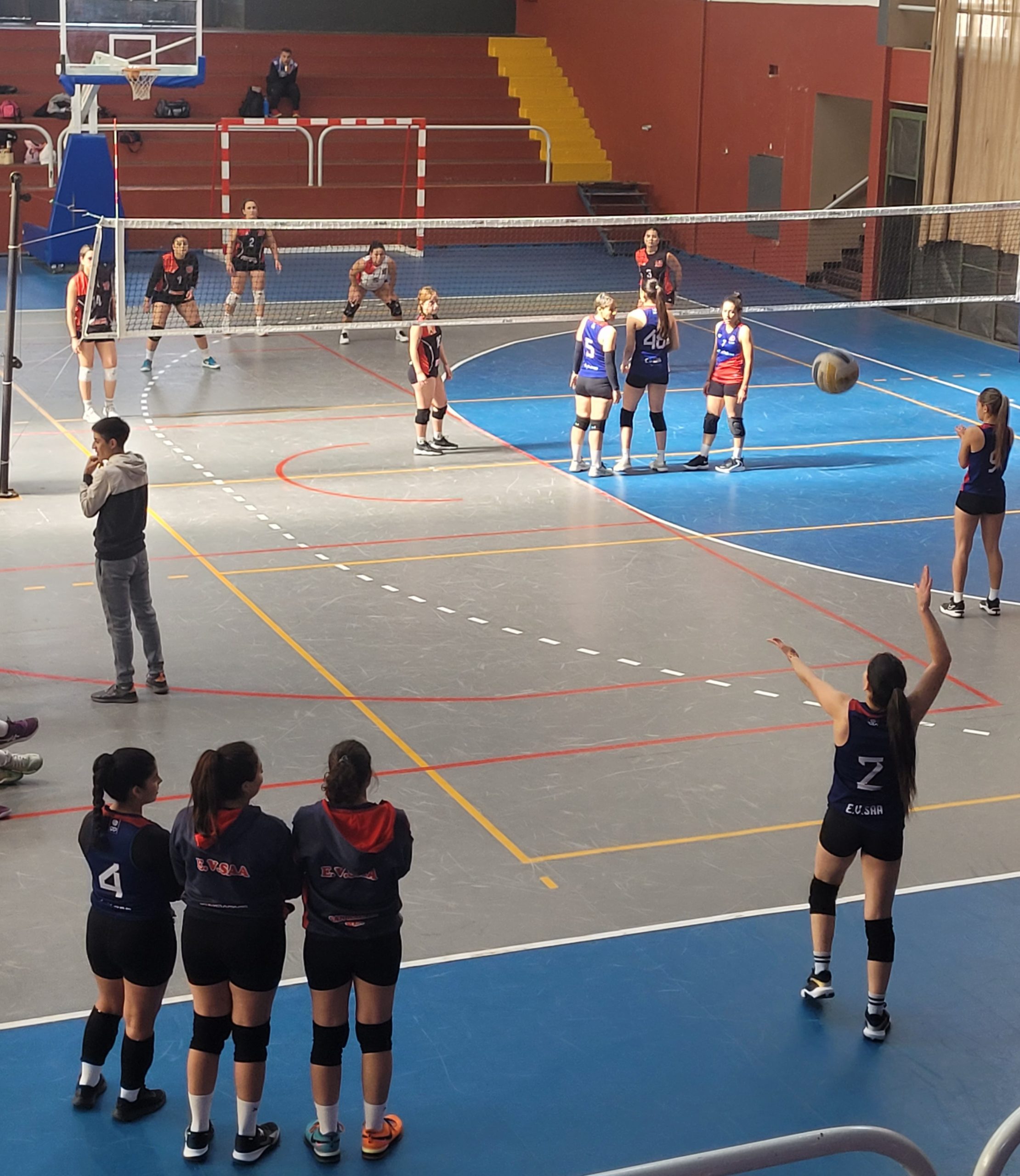 Voley