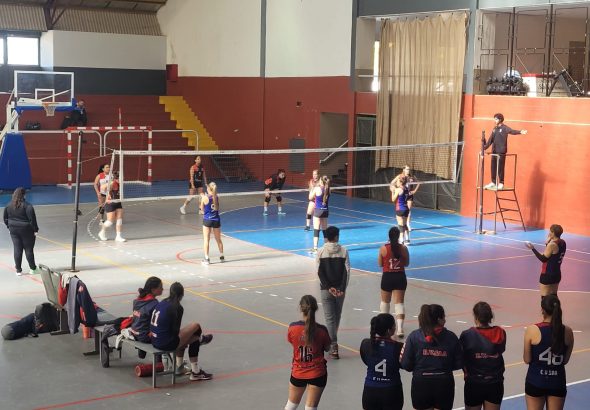 Voley