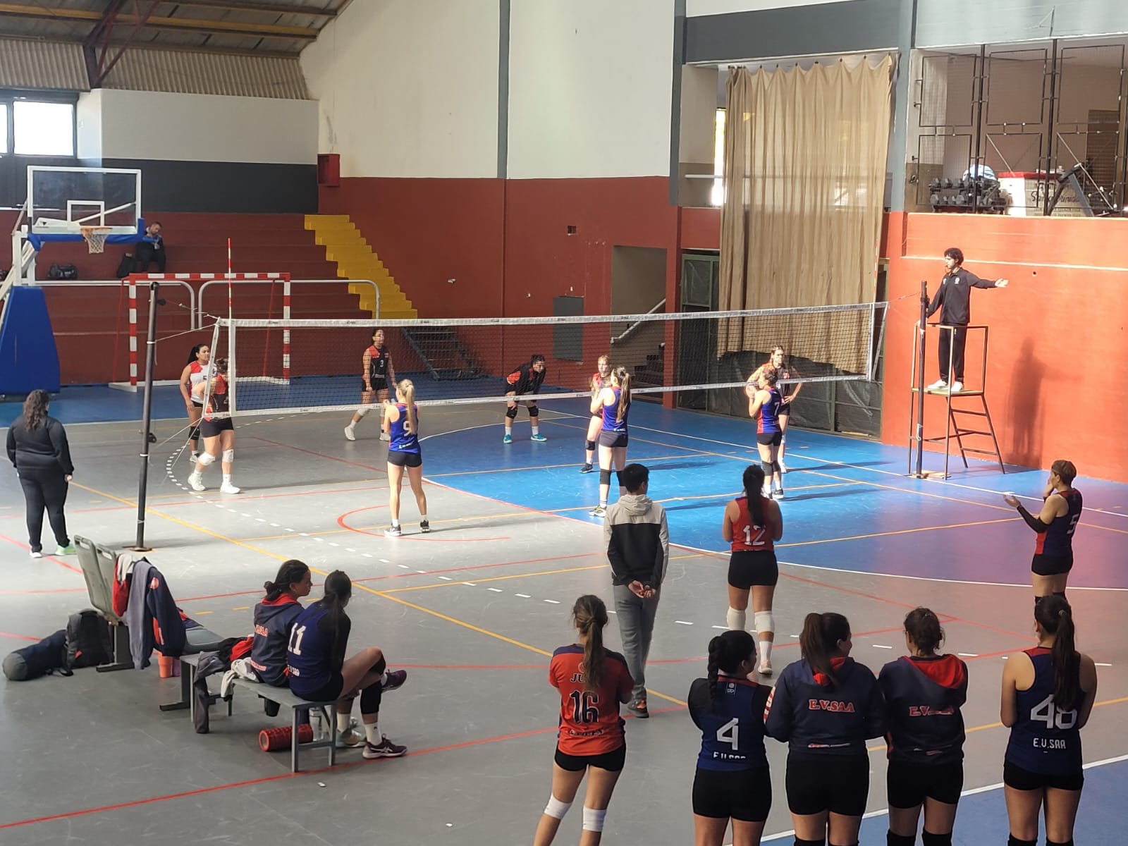 Voley