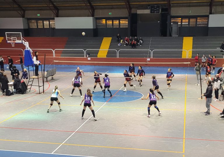 Voley