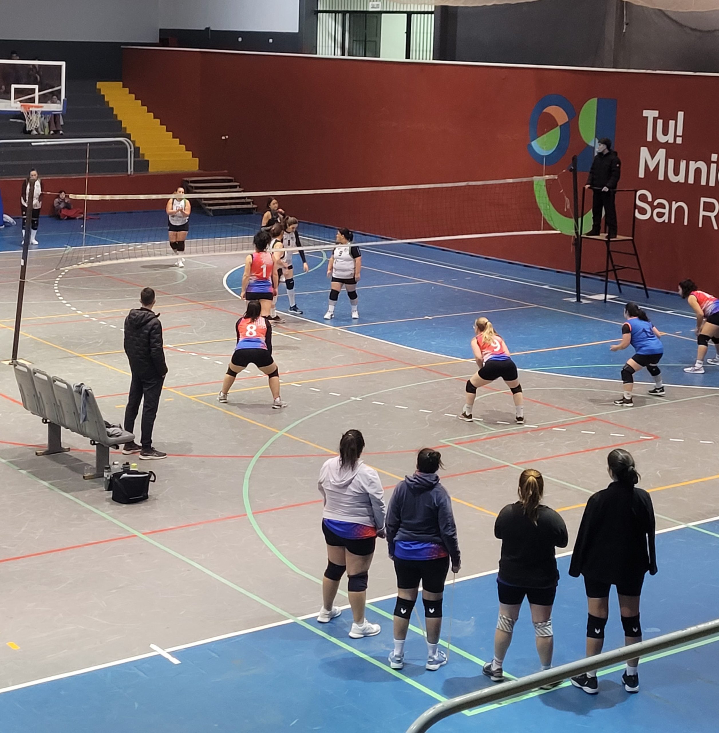 Voley
