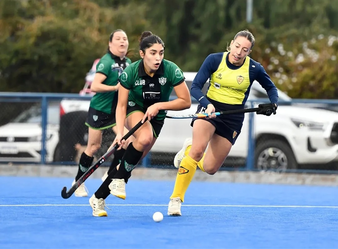 Hockey sobre césped