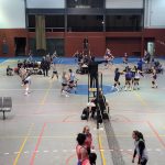 Voley
