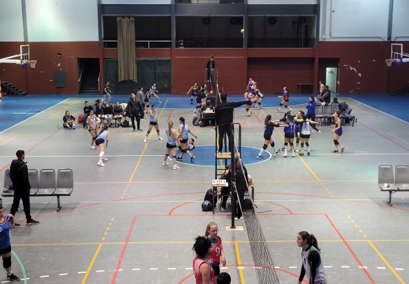 Voley