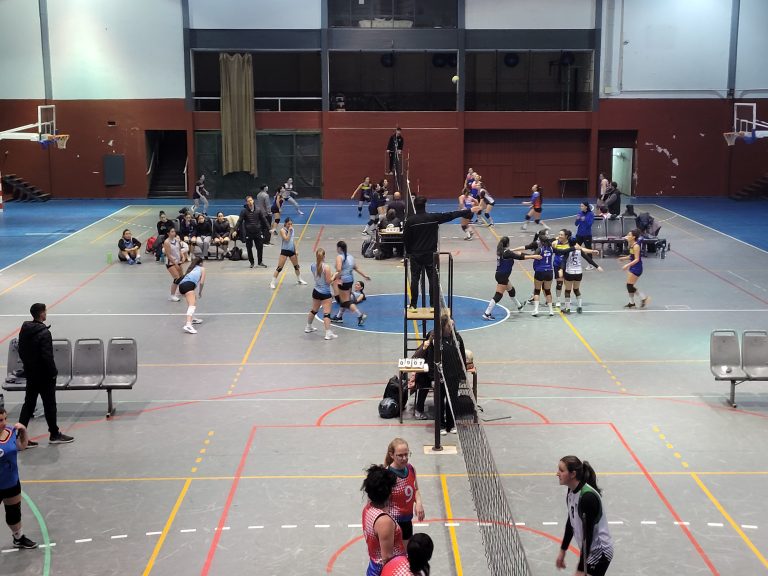 Voley