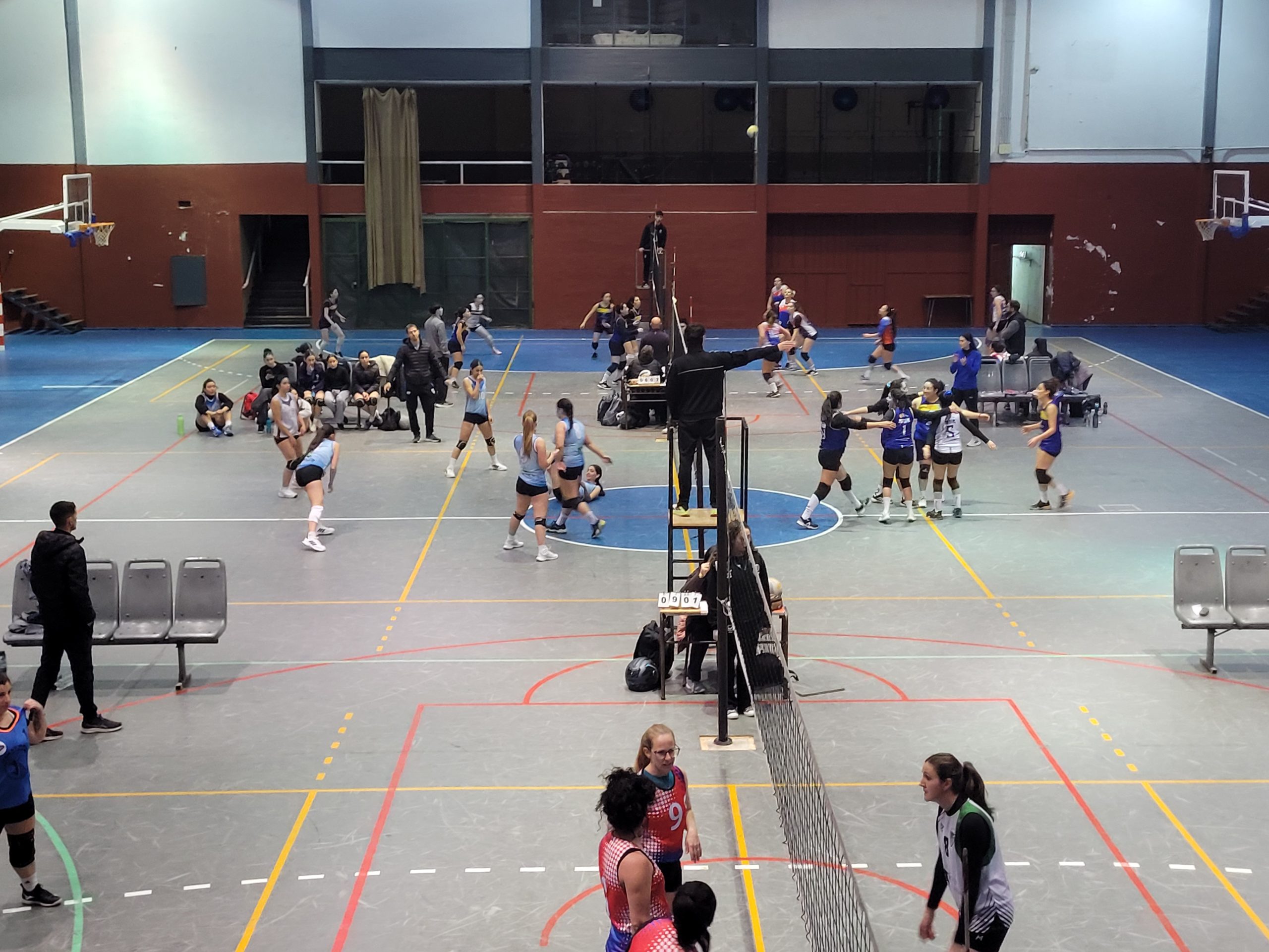 Voley