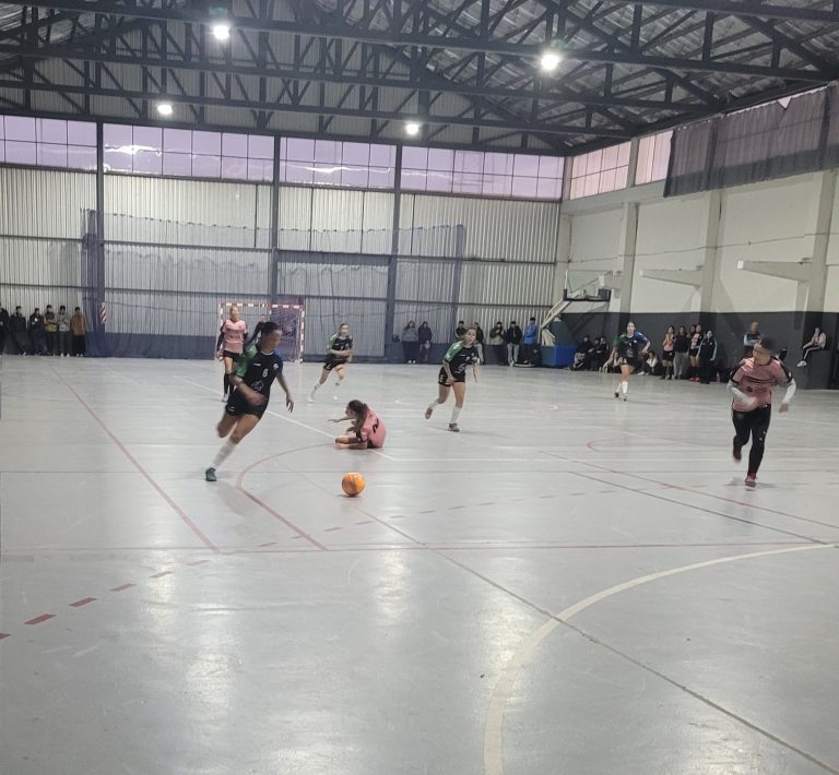 Futsal