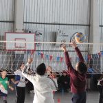 Voley