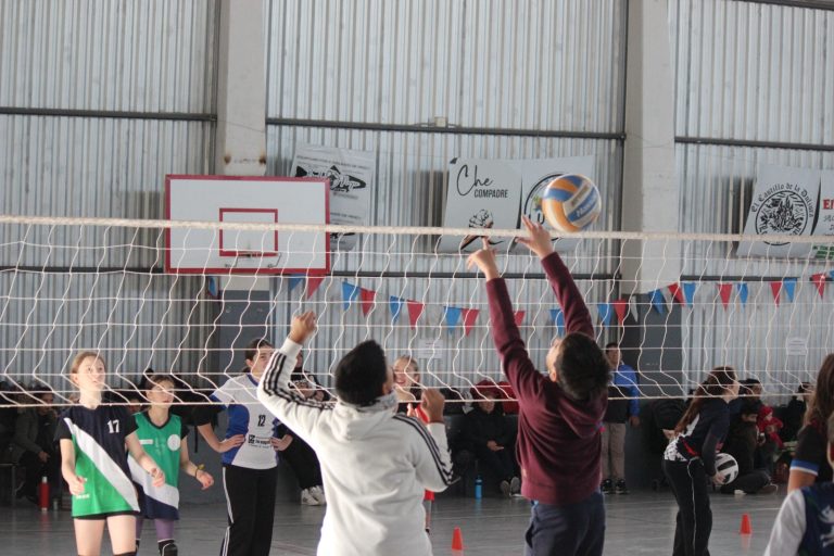 Voley
