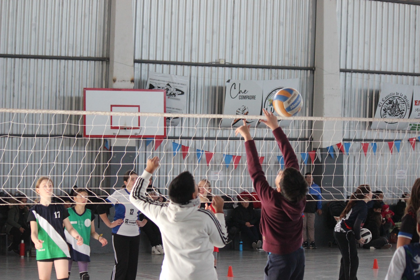 Voley