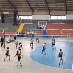 Voley