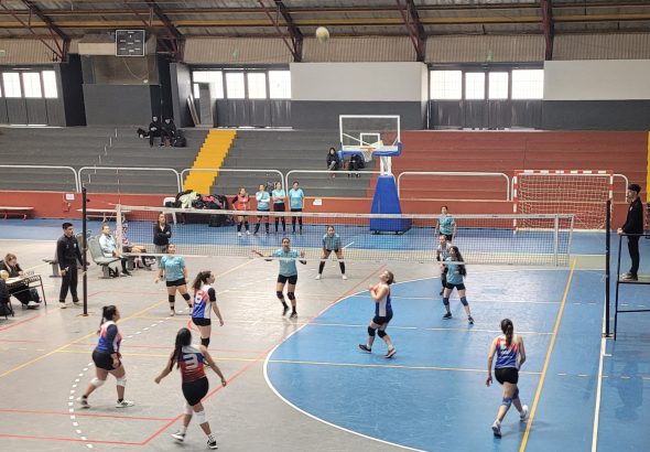 Voley