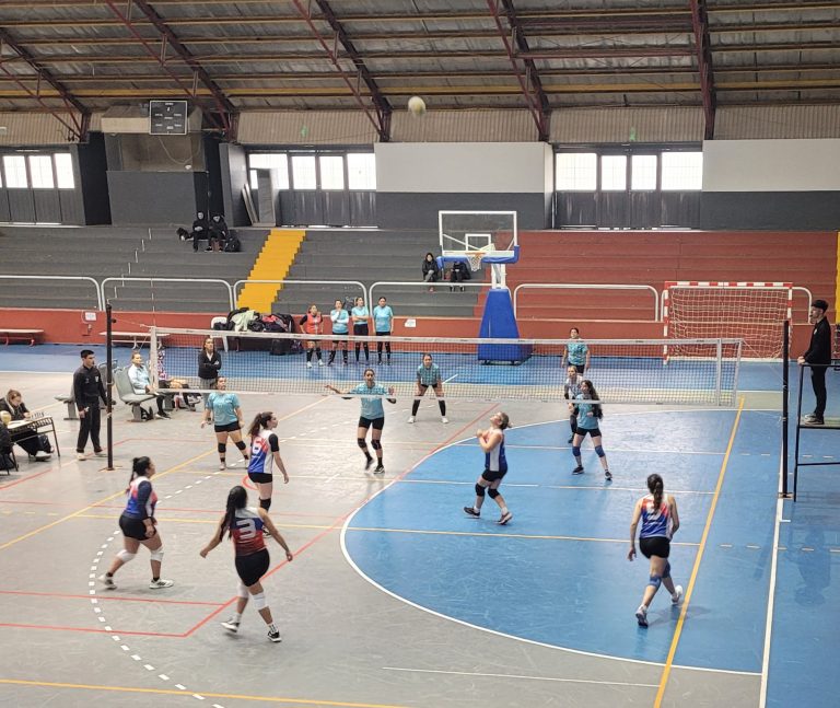 Voley