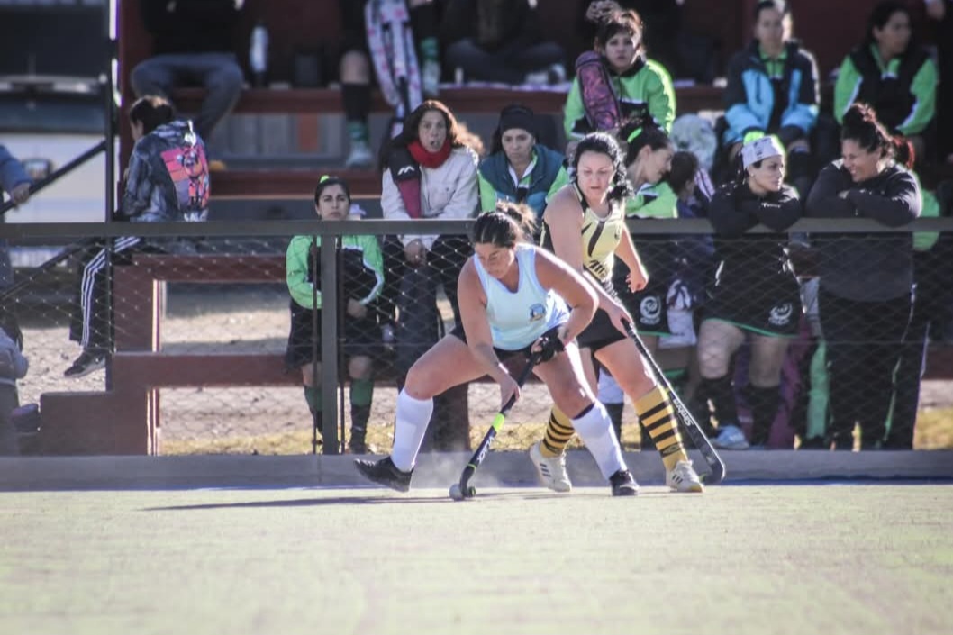 Hockey sobre césped
