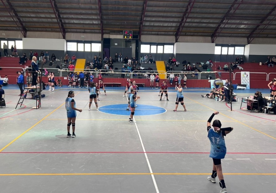 Voley