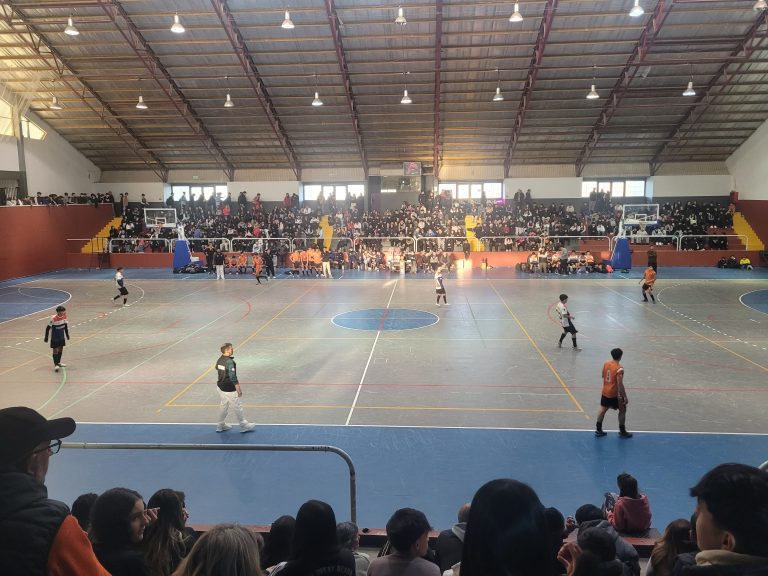 Futsal