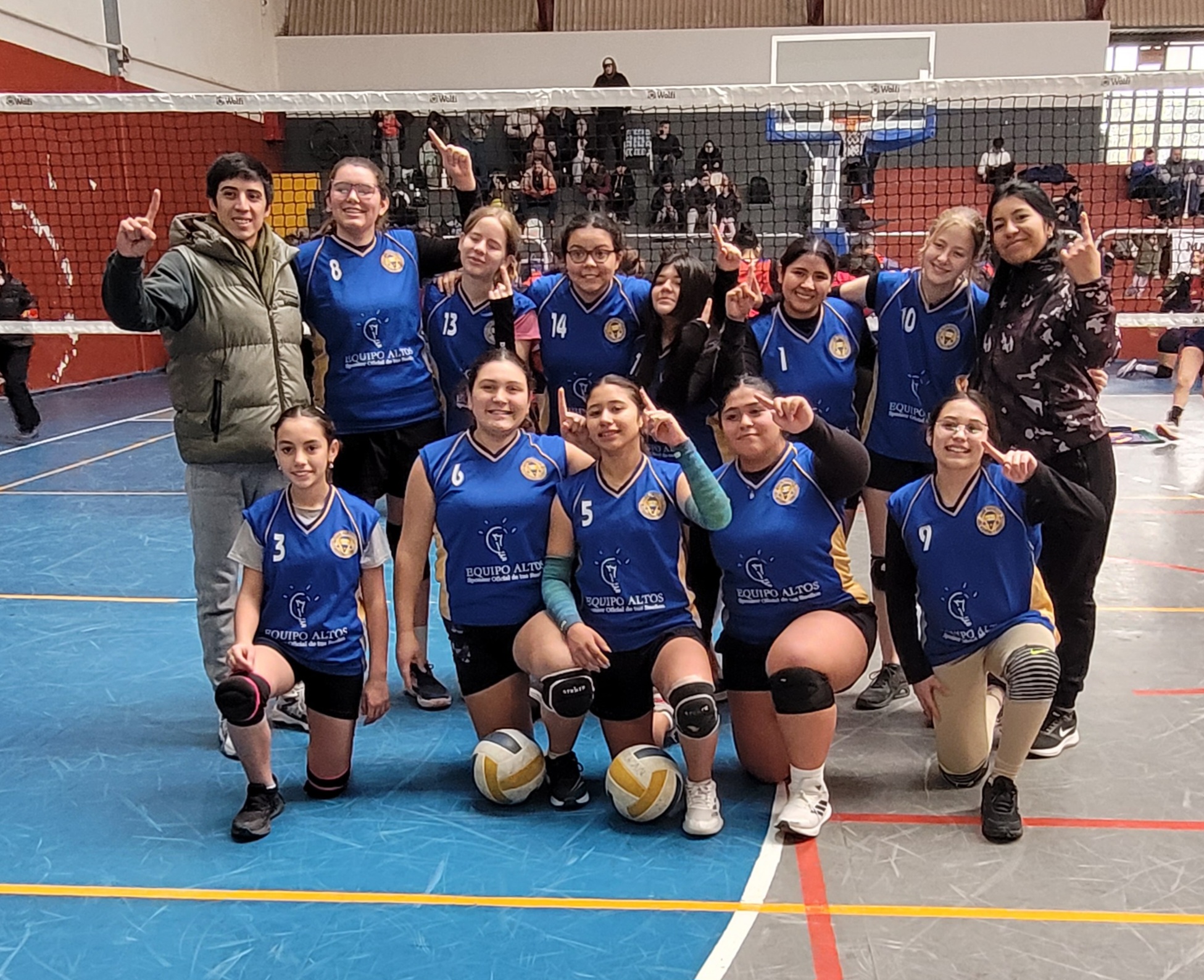 Voley