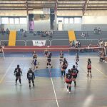 Voley